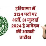Haryana Staff Selection Commission (HSSC) Group C Vacancy 2024