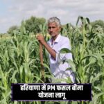 हरियाणा में PM फसल बीमा योजना लागू: किसानों को मिलेगा डबल फायदा, निपटा में देरी पर मिलेगा 12% ब्याज