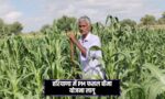 PMFBY Haryana 2026 Crop Insurance