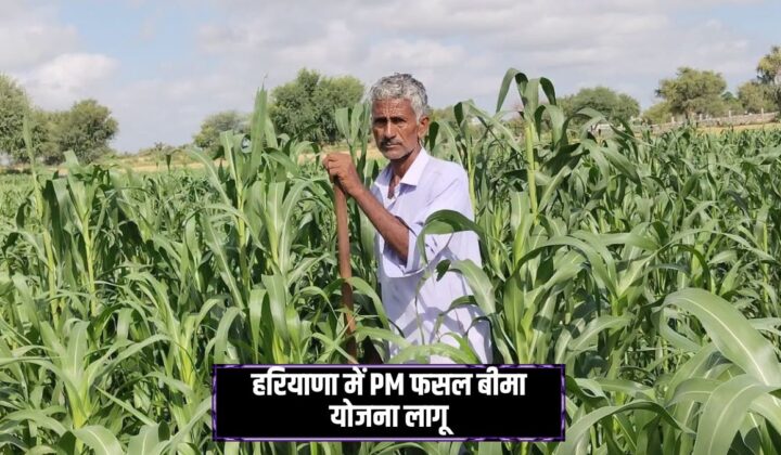 PMFBY Haryana 2026 Crop Insurance