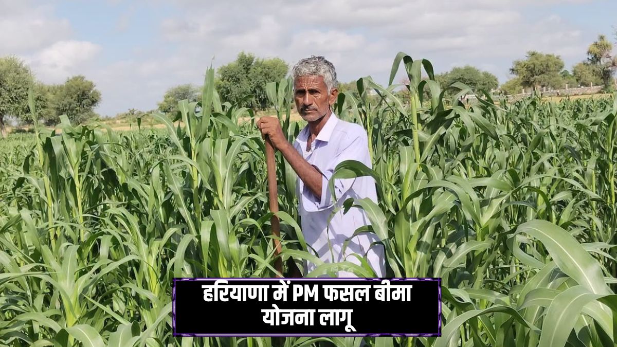 PMFBY Haryana 2026 Crop Insurance