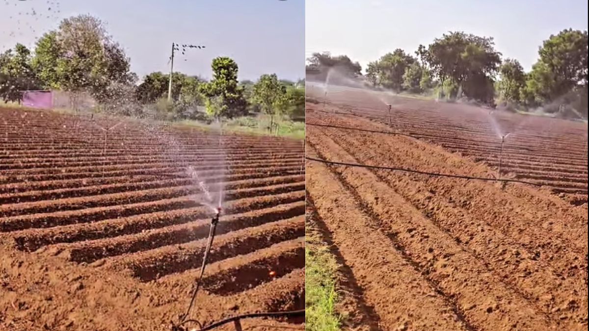 Subsidy On Drip Irrigation Sprinkler Set