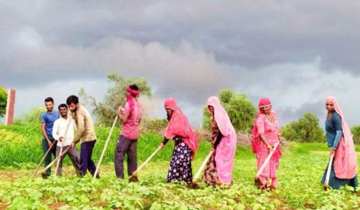 किसानों के लिए बड़ी खबर: मेरी फसल-मेरा ब्योरा पोर्टल 31 जुलाई को होगा बंद, अभी करें रजिस्ट्रेशन