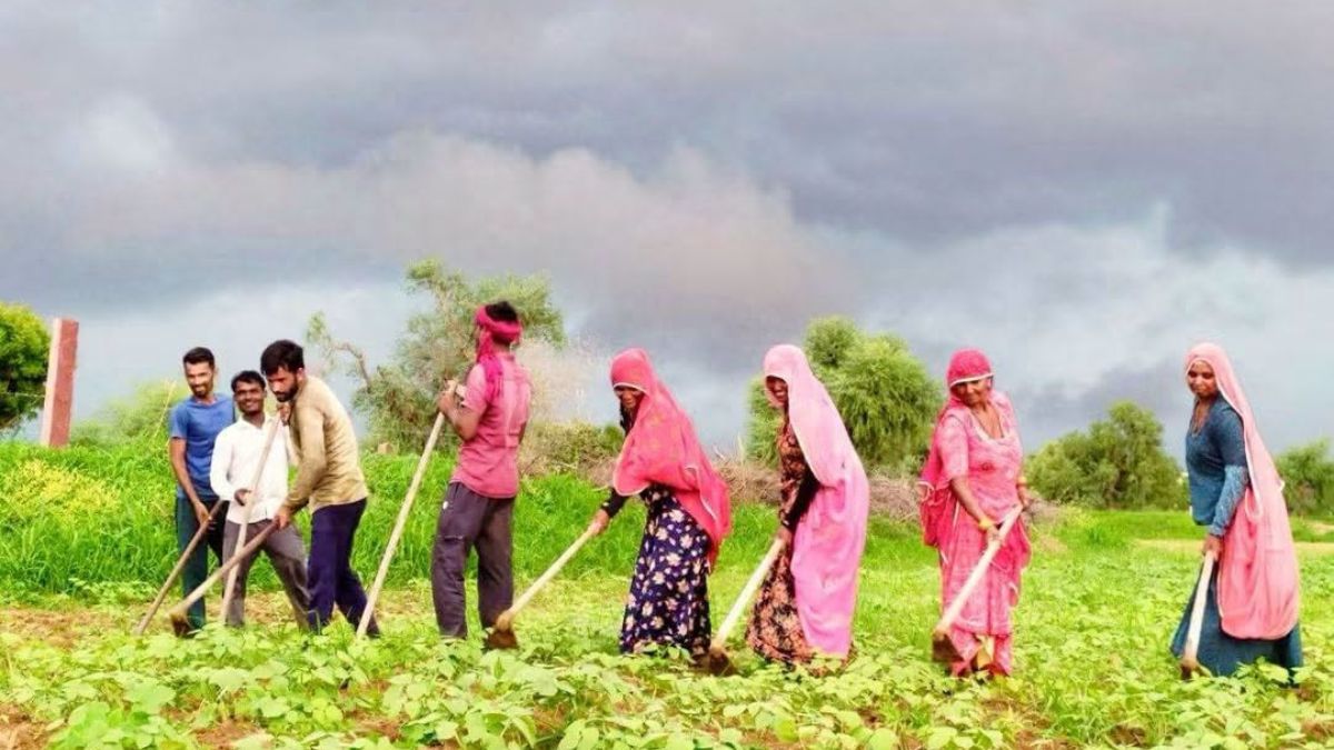 किसानों के लिए बड़ी खबर: मेरी फसल-मेरा ब्योरा पोर्टल 31 जुलाई को होगा बंद, अभी करें रजिस्ट्रेशन