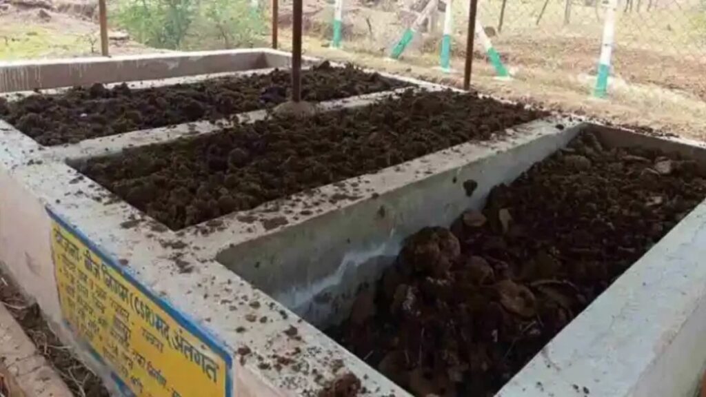 vermi compost 