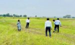 हरियाणा में पटवारियों के साथ खेतों में Digital Crop Survey की जांच करते राजस्व अधिकारी
