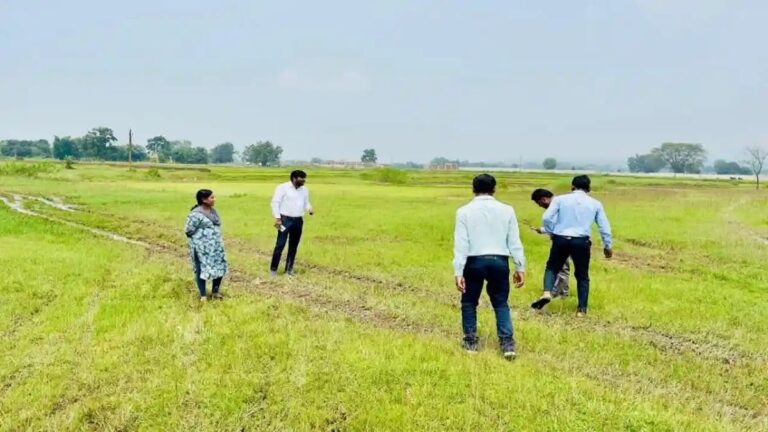 हरियाणा में पटवारियों के साथ खेतों में Digital Crop Survey की जांच करते राजस्व अधिकारी