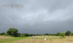 Haryana Weather Today 22 August 2026 Heavy Rain Alert