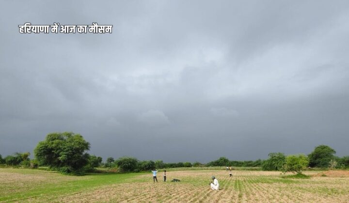 Haryana Weather Today 22 August 2026 Heavy Rain Alert