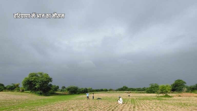 Haryana Weather Today 22 August 2026 Heavy Rain Alert