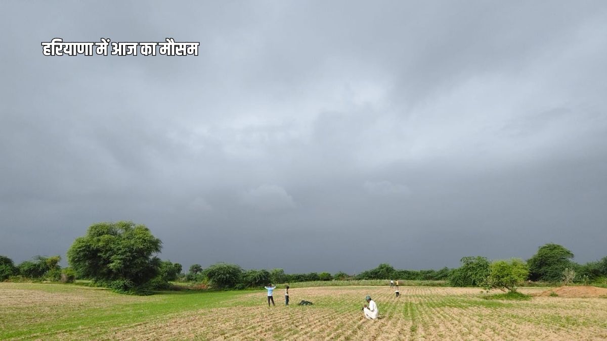 Haryana Weather Today 22 August 2026 Heavy Rain Alert