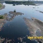 हरियाणा में यमुना का पानी कहां-कहां बिगड़ रहा? सरकारी आंकड़ों में सामने आई पूरी तस्वीर