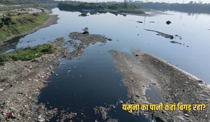 हरियाणा में यमुना का पानी कहां-कहां बिगड़ रहा? सरकारी आंकड़ों में पूरी तस्वीर