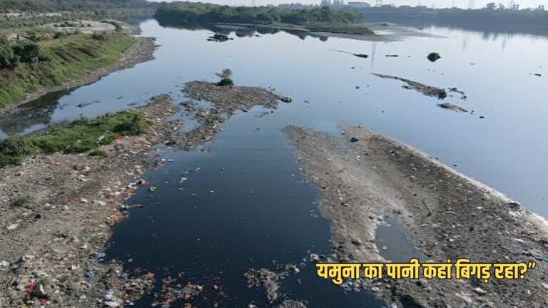 हरियाणा में यमुना का पानी कहां-कहां बिगड़ रहा? सरकारी आंकड़ों में पूरी तस्वीर