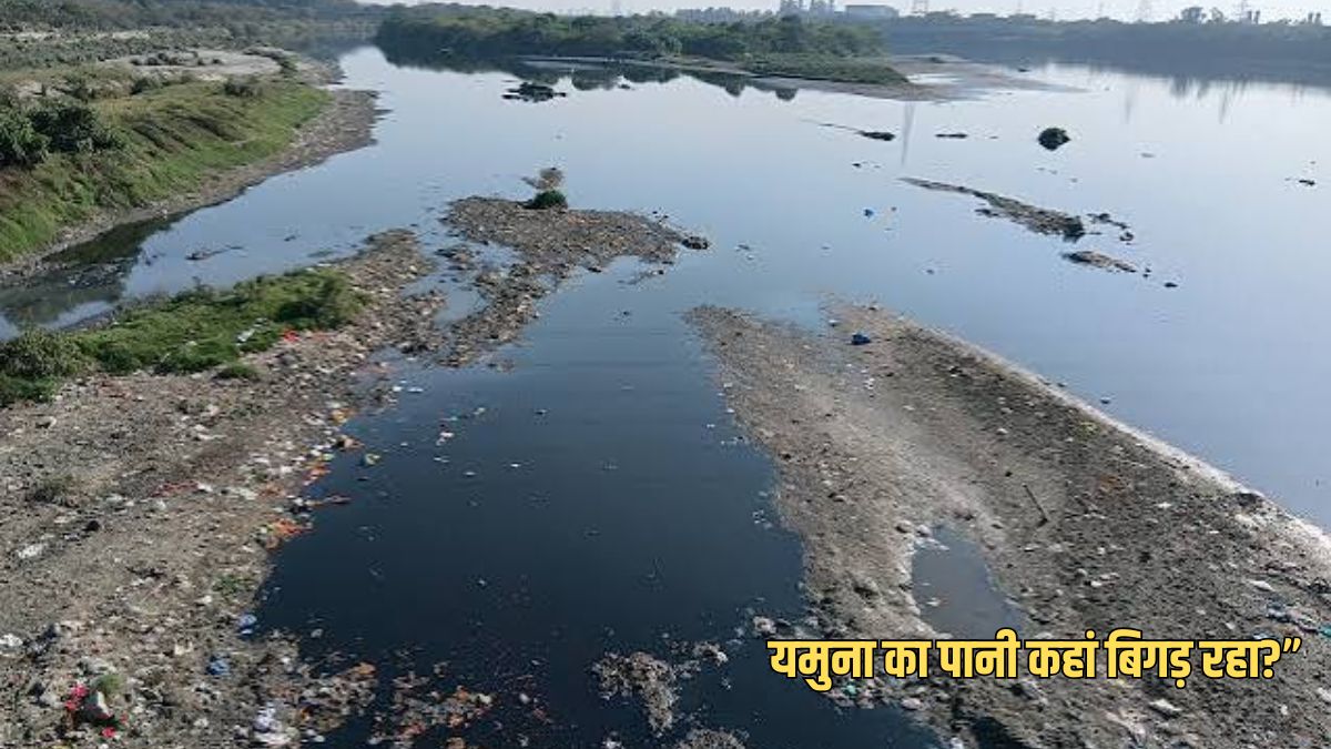 हरियाणा में यमुना का पानी कहां-कहां बिगड़ रहा? सरकारी आंकड़ों में पूरी तस्वीर