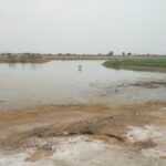 हरियाणा में सेमग्रस्त जमीन फिर होगी खेती योग्य, 2 लाख एकड़ में लगेंगे ड्रेनेज सिस्टम, जाने किन जिलों से होगी शुरुवात