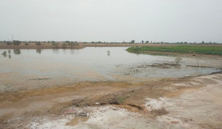 हरियाणा में जलभराव और सेमग्रस्त जमीन सुधारने की जल संरक्षित हरियाणा परियोजना
