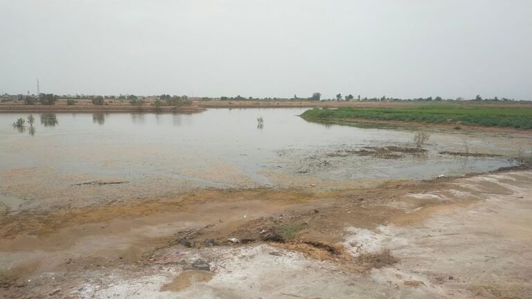 हरियाणा में जलभराव और सेमग्रस्त जमीन सुधारने की जल संरक्षित हरियाणा परियोजना