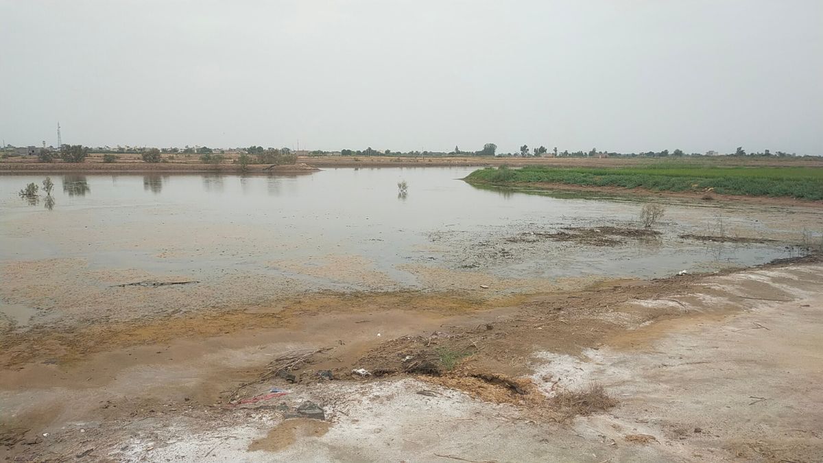 हरियाणा में जलभराव और सेमग्रस्त जमीन सुधारने की जल संरक्षित हरियाणा परियोजना