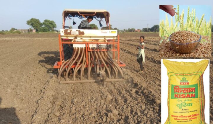 हरियाणा में गेहूं के बीज और खाद की उपलब्धता तथा पराली मशीन सब्सिडी