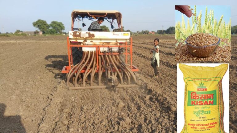 हरियाणा में गेहूं के बीज और खाद की उपलब्धता तथा पराली मशीन सब्सिडी