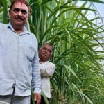 फतेहाबाद के गन्ना किसानों के लिए बड़ी खबर, गन्ना प्रौद्योगिकी मिशन में अनुदान के लिए 1 अक्टूबर से आवेदन