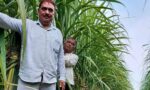फतेहाबाद में गन्ना प्रौद्योगिकी मिशन 2026-27 के तहत अनुदान के लिए आवेदन
