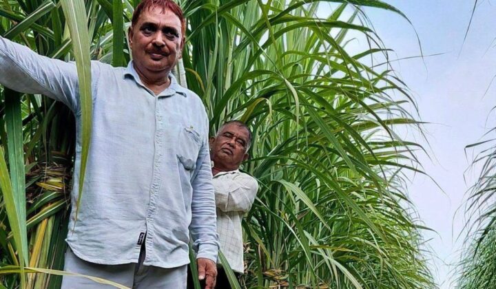 फतेहाबाद में गन्ना प्रौद्योगिकी मिशन 2026-27 के तहत अनुदान के लिए आवेदन
