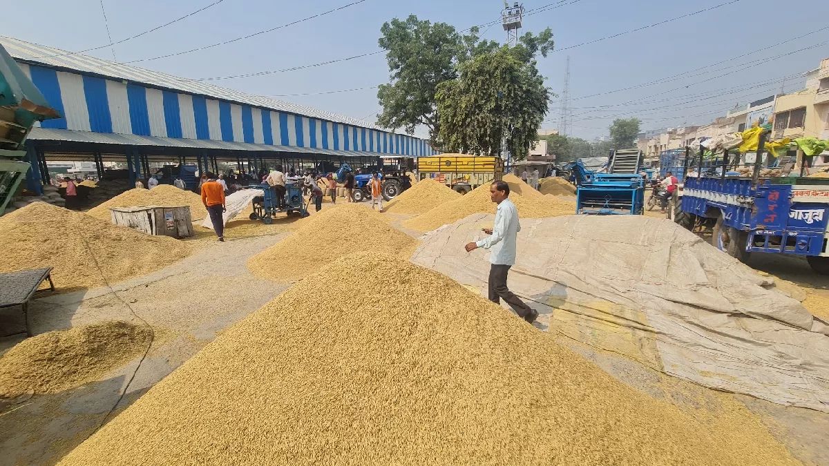 6 रबी फसलों को बढा न्यूनतम समर्थन मूल्य