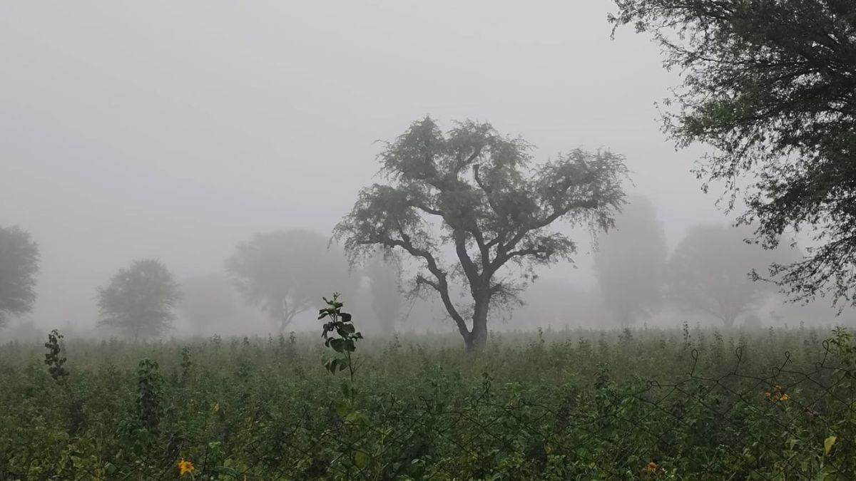 हरियाणा में आज कैसा रहेगा मौसम, यहां देखें जिलेवार जानकारी