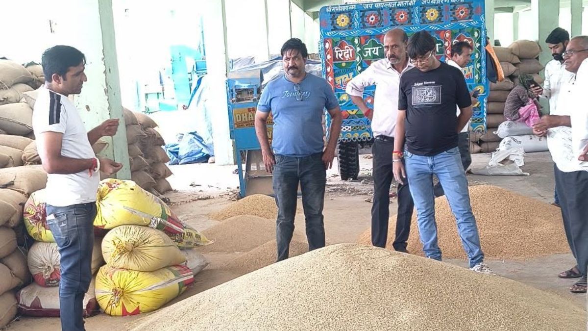 हरियाणा की अनाज मंडी में बिक्री के लिए लाया गया बाजरा