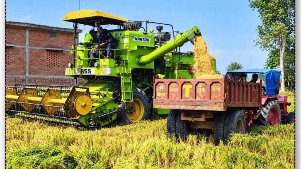 हरियाणा में धान की कटाई करती कंबाइन हार्वेस्टर मशीन