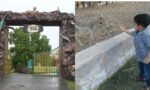 हरियाणा के भिवानी, रोहतक और पिपली चिड़ियाघरों में मुफ्त प्रवेश
