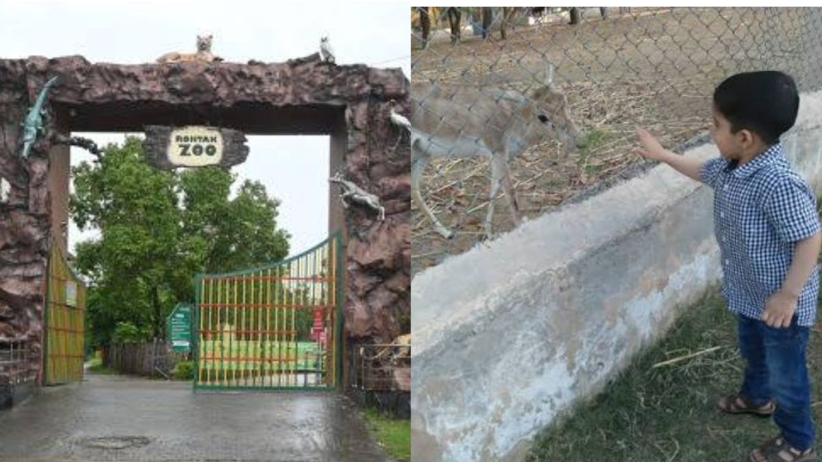 हरियाणा के भिवानी, रोहतक और पिपली चिड़ियाघरों में मुफ्त प्रवेश