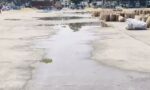 पानीपत की नई अनाज मंडी की सड़क पर जमा बरसाती पानी