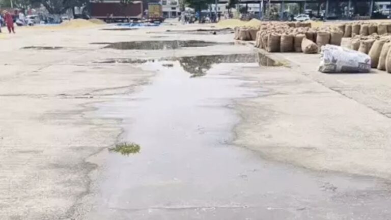 पानीपत की नई अनाज मंडी की सड़क पर जमा बरसाती पानी