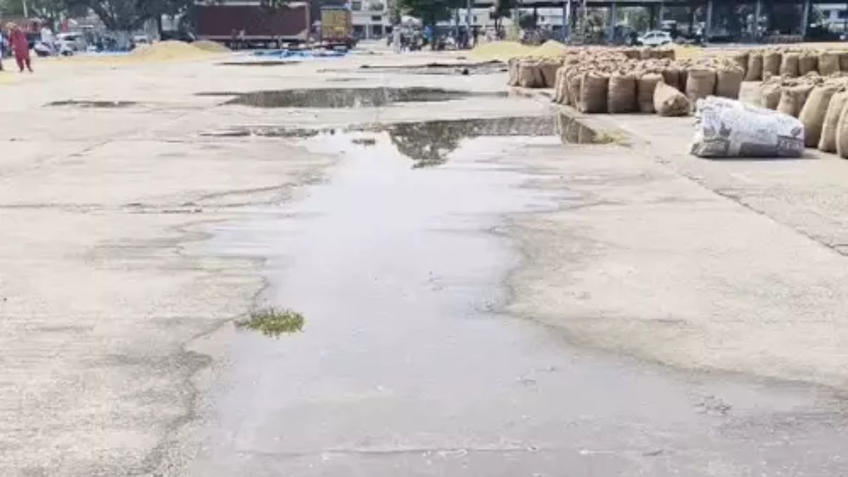 पानीपत की नई अनाज मंडी की सड़क पर जमा बरसाती पानी