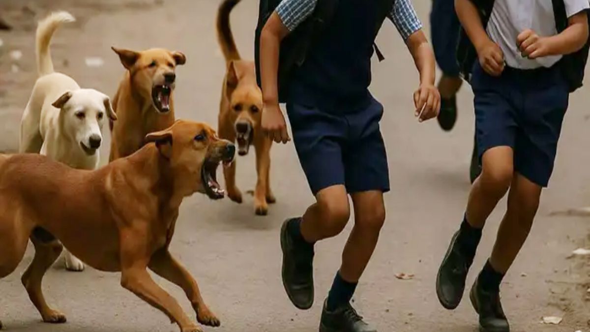 हरियाणा दयालु-2 योजना में कुत्ते के काटने पर मुआवजा