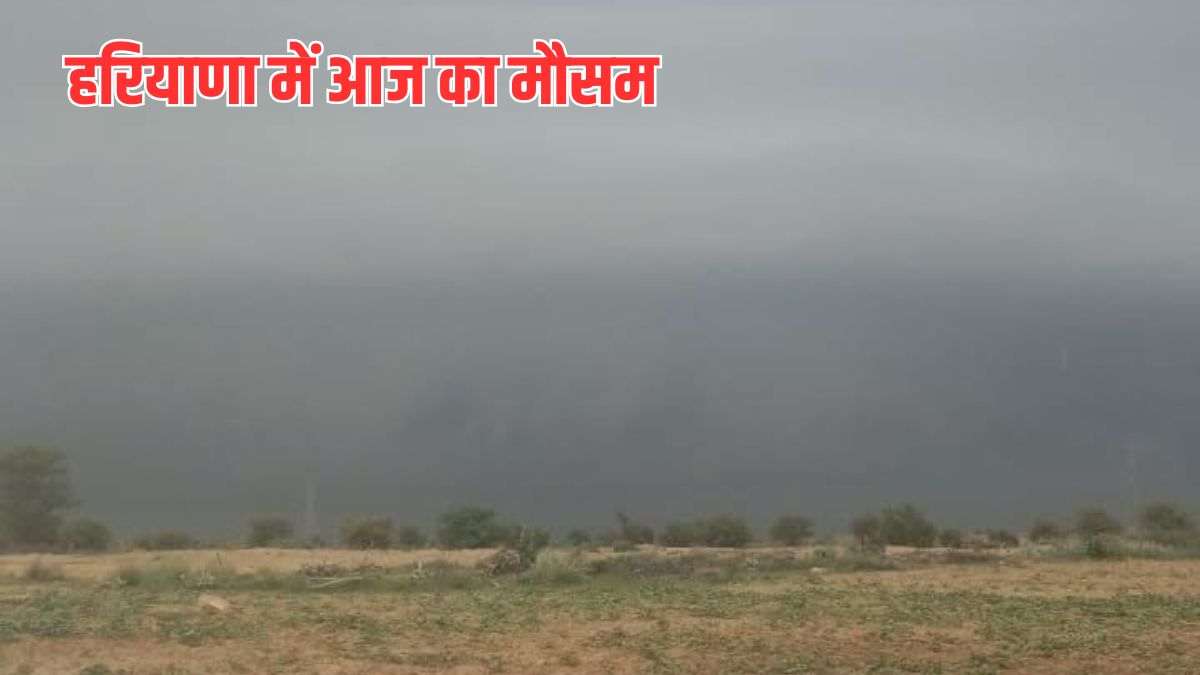 हरियाणा में आज बारिश और मानसून का मौसम पूर्वानुमान