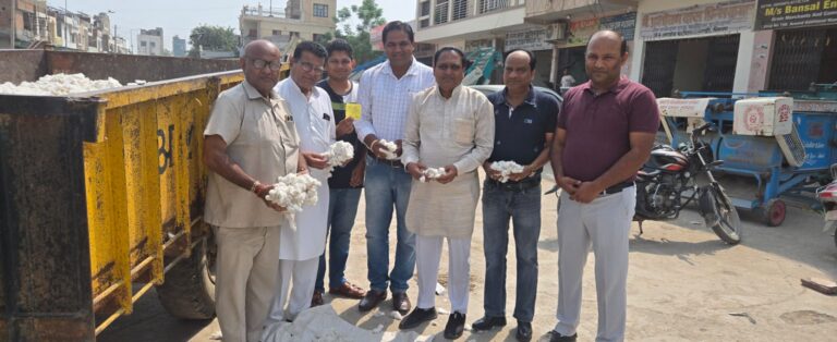 हरियाणा की मंडियों में नरमा 9 हजार पार, सिरसा में 9134 रुपये तक लगी बोली