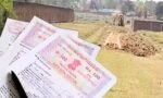 हरियाणा की सभी तहसीलों में ऑनलाइन करेक्शन मॉड्यूल शुरू किया गया है।
