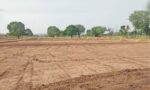 हरियाणा में 2027 से पंचायती जमीन के 10 फीसदी हिस्से पर प्राकृतिक खेती की तैयारी। कृषि मंत्री श्याम सिंह राणा ने 800 एकड़ सरकारी जमीन को लेकर भी जानकारी दी।