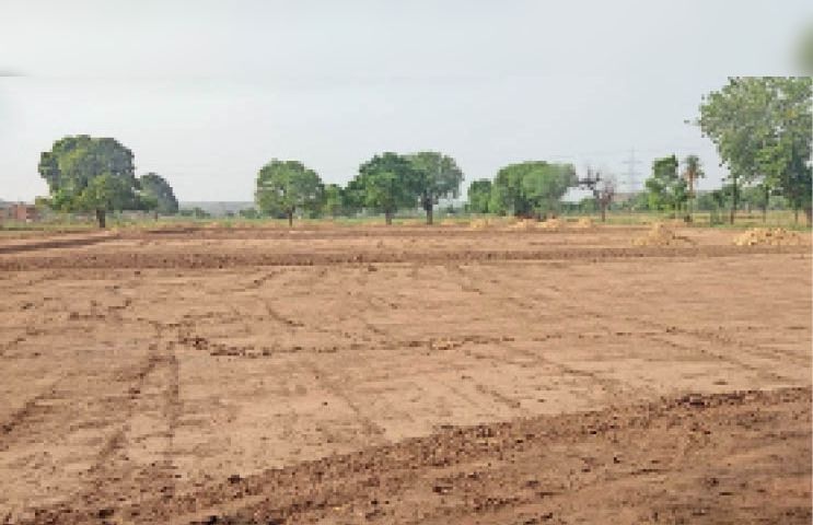 हरियाणा में 2027 से पंचायती जमीन के 10 फीसदी हिस्से पर प्राकृतिक खेती की तैयारी। कृषि मंत्री श्याम सिंह राणा ने 800 एकड़ सरकारी जमीन को लेकर भी जानकारी दी।