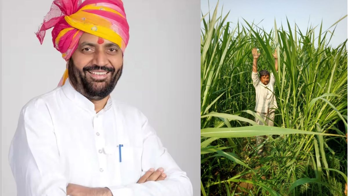 हरियाणा के गन्ना किसान खेत में गन्ने की फसल देखते हुए