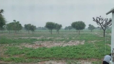 हरियाणा में बारिश और बादल छाए मौसम, ऑरेंज अलर्ट