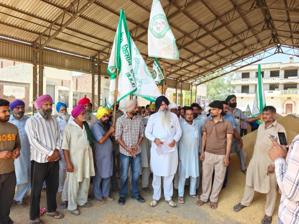 Sirsa Paddy Procurement 2026