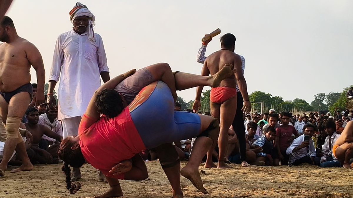 पलवल में हरियाणा केसरी दंगल 2026, विजेता को 1.51 लाख रुपये कॉपी करें